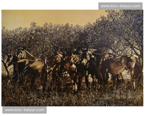 【深度】斑马的黑白艺术与狼的丛林法则:生存场上的终极博弈与共生